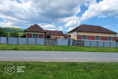 Casă individuală cu 4 camere cu Teren 5000 Mp în Lalașinț - 1