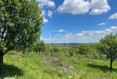 Teren de 1000 mp, în Central - 3