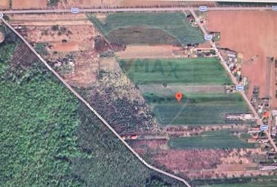 Teren Construcții intravilan de 704 mp, în Siliștea Snagovului - 5