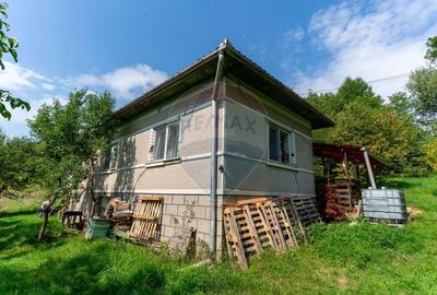 Casă individuală cu 3 camere cu Teren 9995 Mp în Ormindea - 33