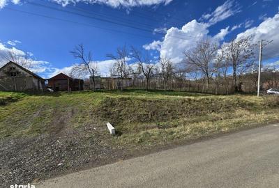 Casă cu 3 camere cu Teren 2876 Mp în Central - 16