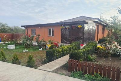 Casă cu 4 camere cu Teren 1049 Mp în Corbu (Glodeanu-Siliștea) - 9