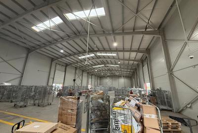 Spațiu industrial, de 2,450 mp, în Mogoșoaia - 9