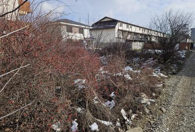 Teren Padurea Craiului - 520mp - 2