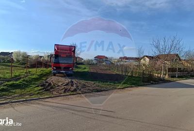 Teren de 1500 mp, în Snagov - 9