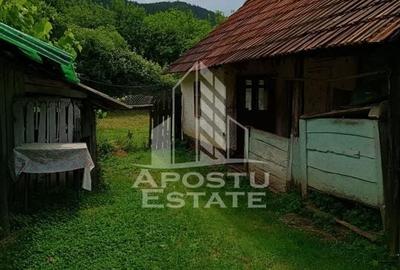 Casa bătrânească de vânzare | 4 camere | Hunedoara | Micănești - 14