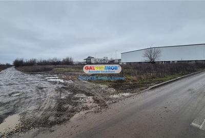 Teren Construcții intravilan de 4785 mp, în Băneasa - 8