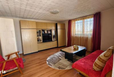 Casă cu 4 camere cu Teren 905 Mp în Sânnicolau Mic - 8