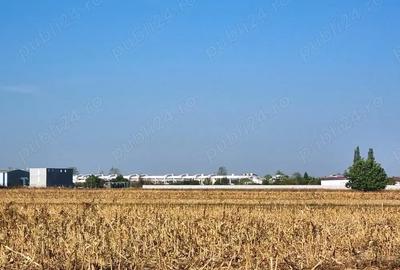 Teren de 8000 mp, în Măgurele