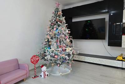 Casa individuala la intrare in Sag, teren de 1.800 mp,  mobilata - 23