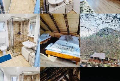 Cabana rustica la munte - 4