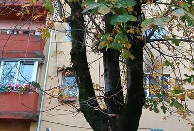 Apartament cu 2 camere semidecomandat în Central - 1