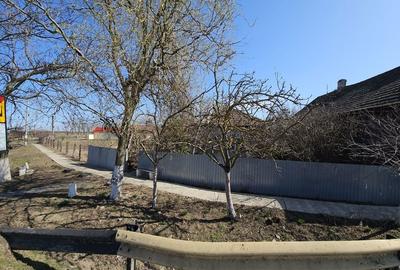 Casă cu 3 camere în Nădab - 3