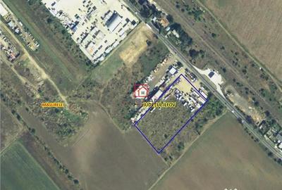 Teren de 10000 mp, în Măgurele - 3
