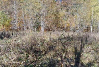 Teren de 460 mp, în Central