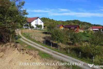 Teren de 1522 mp, în Vlădești - 11