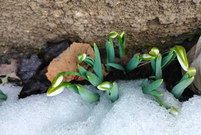 Casă cu 2 camere în Central - 4