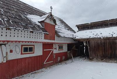 Casă cu 3 camere cu Teren 3900 Mp în Poiana Stampei - 10