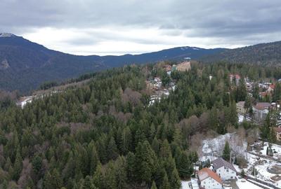 Teren intravilan 3.500 mp Cioplea - Predeal - 4