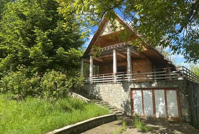Casă cu 4 camere cu Teren 1916 Mp în Homorâciu - 6