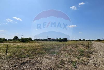 Teren de 490 mp, în Frumușani - 2