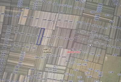 Teren de 35000 mp, în Exterior Vest - 1