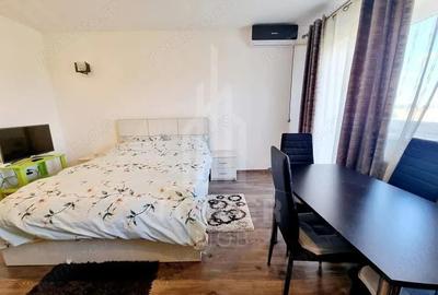 Garsoniera de inchiriat | Turni?or - 7