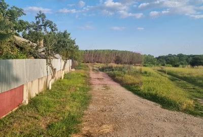 Se vinde teren 2000 mp in Teisori Giurgiu - 11