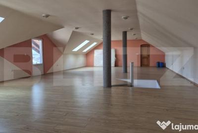 Casă cu 7 camere cu Teren 5000 Mp în Năsăud - 8
