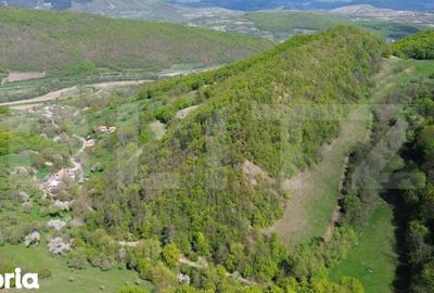 Teren de 9083 mp, în Meteș - 10