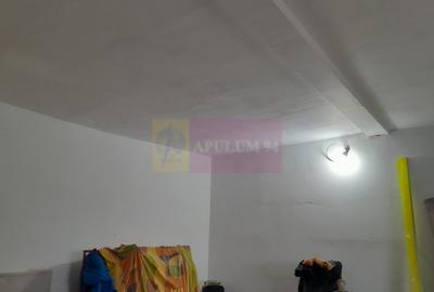 Casă cu 2 camere în Roșu - 8
