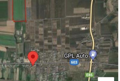 Teren de 15000 mp, în Uzunu - 1