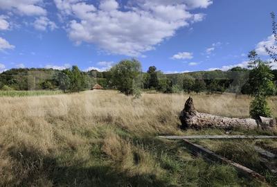De vanzare casa, zona turistica Vadu Crisului - Bratca, cu teren 5000 mp - 12