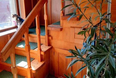 Casa tip P+1 Dorobanti 2 - 1