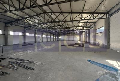 Spațiu industrial, de 900 mp, în Chitila