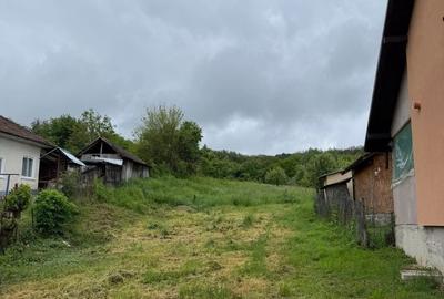 Teren de 1000 mp, în Păușești - 7
