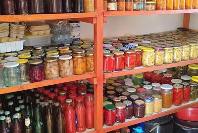 Casa de vanzare, teren mare, intrare auto - Sacadat, Bihor - 10