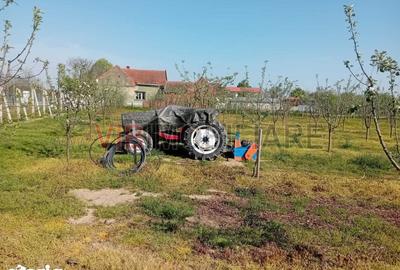 Teren de 16000 mp, în Belinț - 2