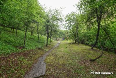 Casă individuală cu 4 camere cu Teren 4891 Mp în Stolna - 1