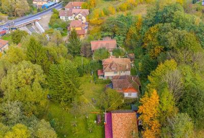 Casa traditionala de vacanta | 3 camere | BRAN | COMISION 0 | Casa traditionala de vacanta | 3 camere | BRAN | COMISION 0 | - 24