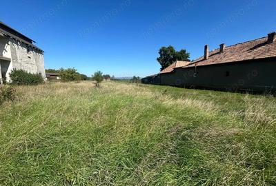 Teren intravilan, 5700mp - Teius - 1