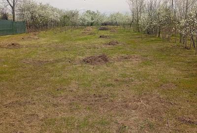 Casă cu 3 camere cu Teren 1700 Mp în Jugureni - 7