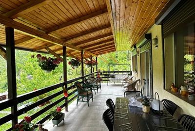 Casa de vacanta D+P+E+M, teren 559 m2, Lunca Mare, Prahova - 2