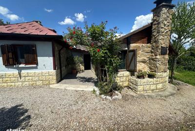 Casă cu 6 camere cu Teren 2026 Mp în Murighiol - 7