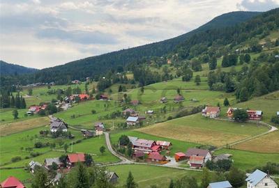 RECO Teren intravilan in Arieseni - 4