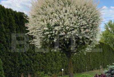 Vila la Lac in Zona Apa - Oaza de Confort ?i Elegan?a - 14