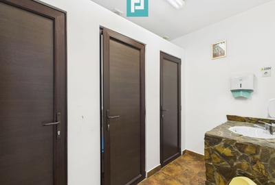 Pensiune la Orțișoara - 18