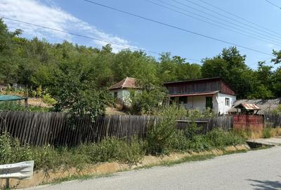 Casa rachita de sus Seaca De Padure, Dolj - 4