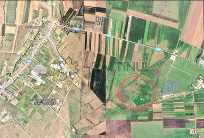 Teren agricol extravilan de 7100 mp, în Șura Mică - 2