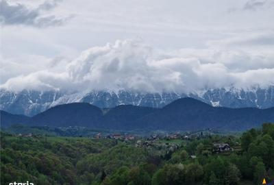 Teren de 6966 mp, în Fundata - 6